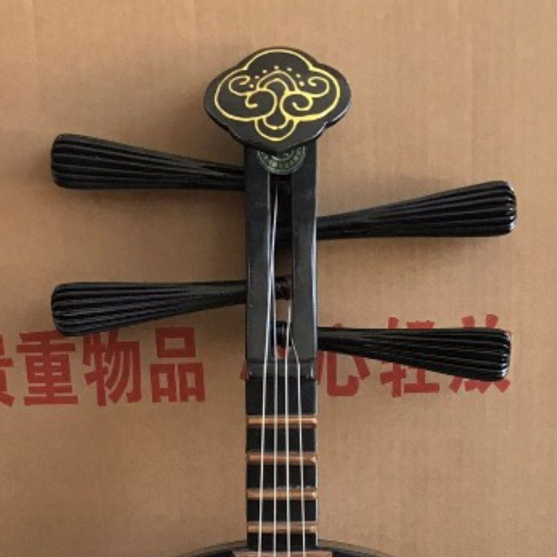Solid Wood Pipa Chinese Tradit – Musical Instrument Painting recenzja i cena